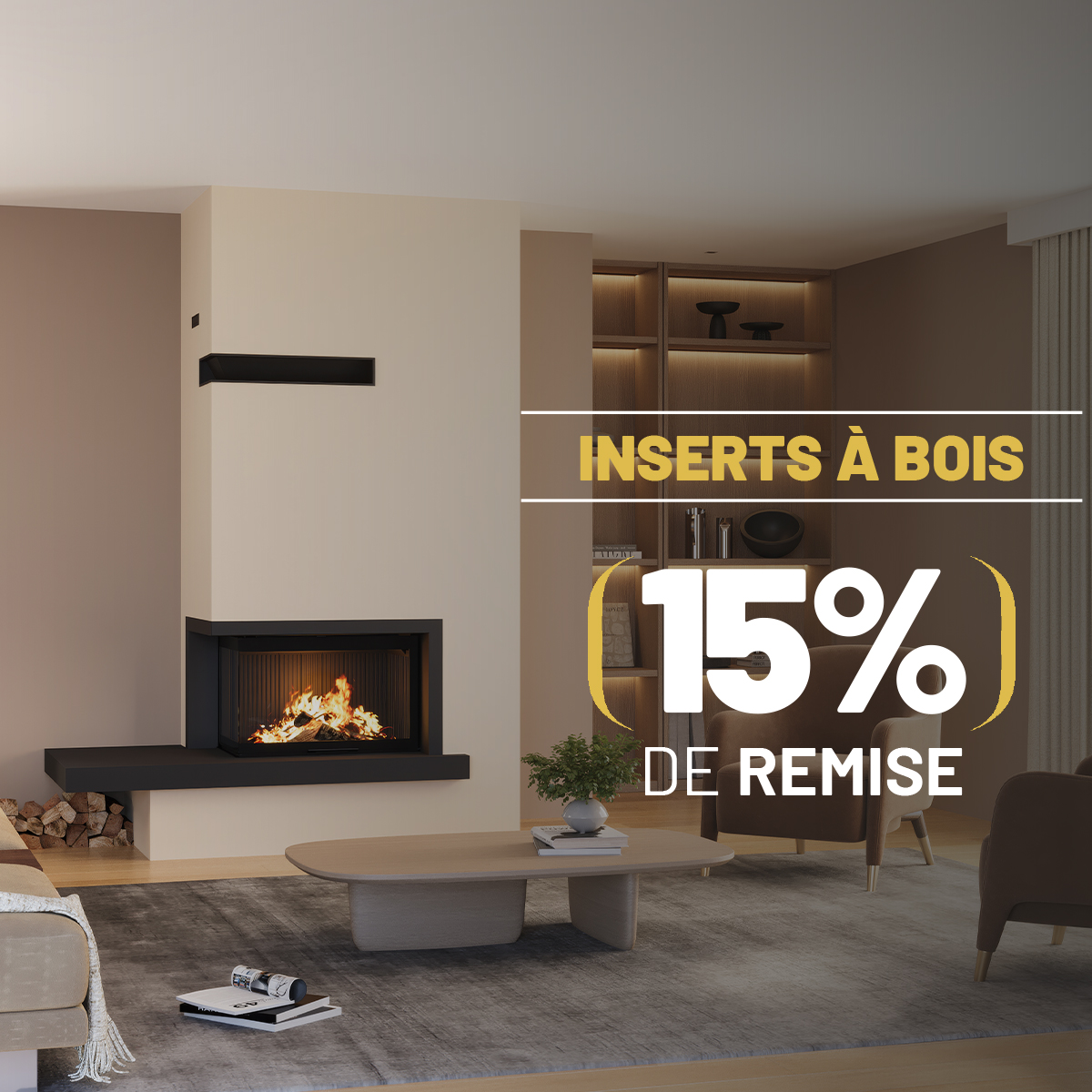 Promotion poêle à bois et poêle à granulés